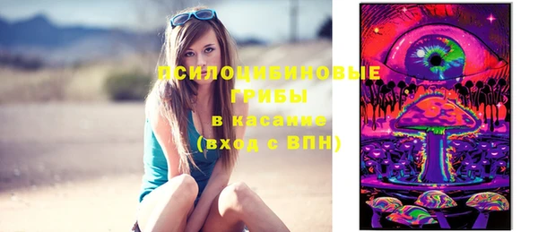 2c-b Гусь-Хрустальный