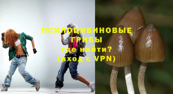 прущие крисы Гусиноозёрск
