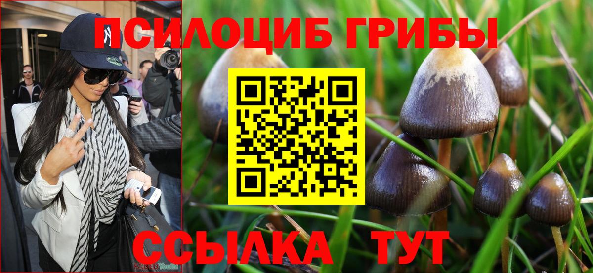 купить наркоту  Вход с VPN  Москва  Галлюциногенные грибы Magic Shrooms 